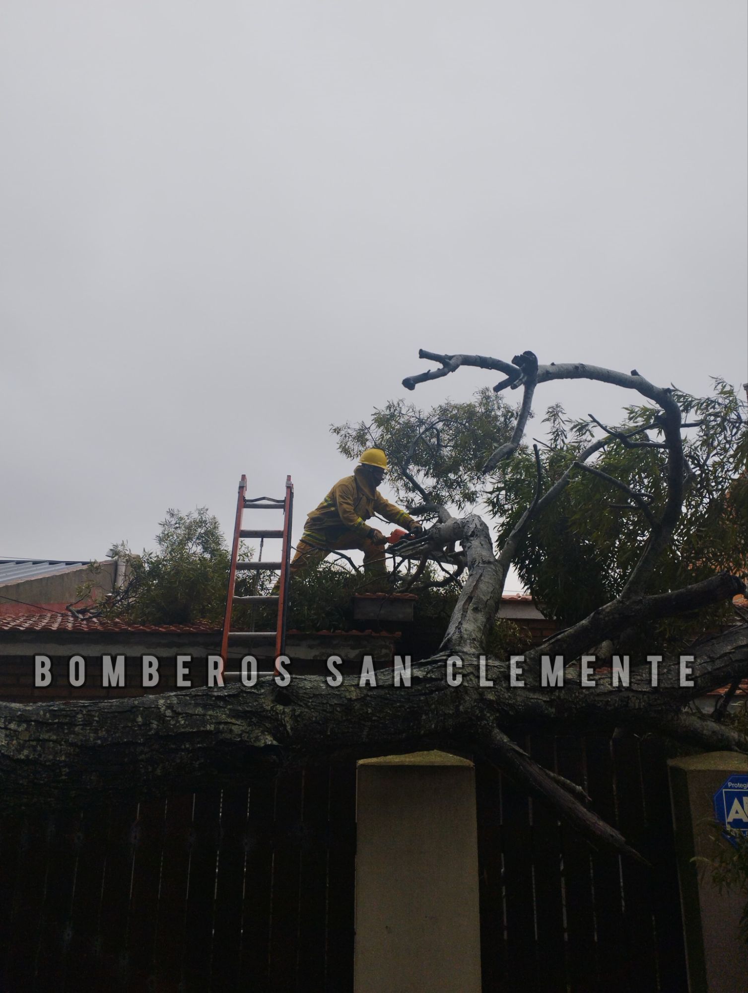 ÁRBOL CAYÓ SOBRE UNA VIVIENDA EN SAN CLEMENTE DEL TUYÚ, PERO NO SE REGISTRARON DAÑOS