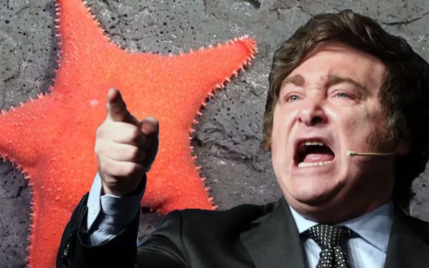 RATING DE STREAMING: EL CONICET APLASTÓ LA ENTREVISTA DE ALEJANDRO FANTINO CON JAVIER MILEI post thumbnail image