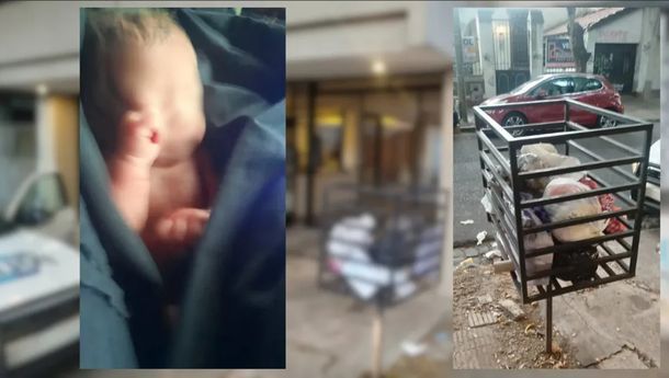 HALLARON A BEBA RECIÉN NACIDA EN UN TACHO DE BASURA EN SAN MARTÍN: ESTÁ INTERNADA EN NEONATOLOGÍA HALLARON A BEBA RECIÉN NACIDA EN UN TACHO DE BASURA EN SAN MARTÍN: ESTÁ INTERNADA EN NEONATOLOGÍA
