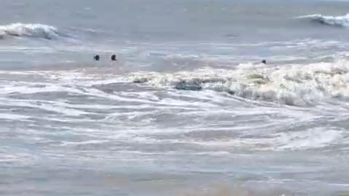 RESCATARON A UNA MUJER ARRASTRADA POR UNA CORRIENTE DE RETORNO EN LA PLAYA DE LAS TONINAS RESCATARON A UNA MUJER ARRASTRADA POR UNA CORRIENTE DE RETORNO EN LA PLAYA DE LAS TONINAS