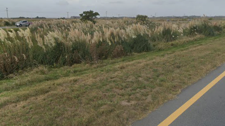 INCENDIO DE PASTIZALES EN RUTA 11 A LA ALTURA DEL KILÓMETRO 310 post thumbnail image