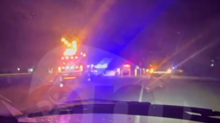 ACCIDENTE EN RUTA 11: UN CABALLO SUELTO PROTAGONIZÓ UN CHOQUE QUE INVOLUCRÓ A DOS VEHÍCULOS