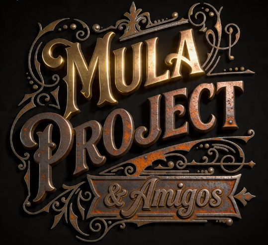 MULA PROYECT &AMP; AMIGOS EN CÓDIGO DE ROCK
